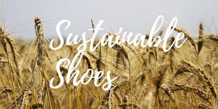Sustainable Shoes