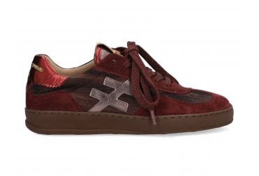 Wellington Trainer