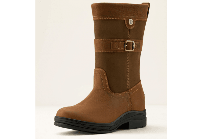 Ariat Bampton Waterproof Boot 