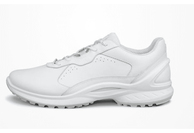 Ecco Biom Energy Trainer