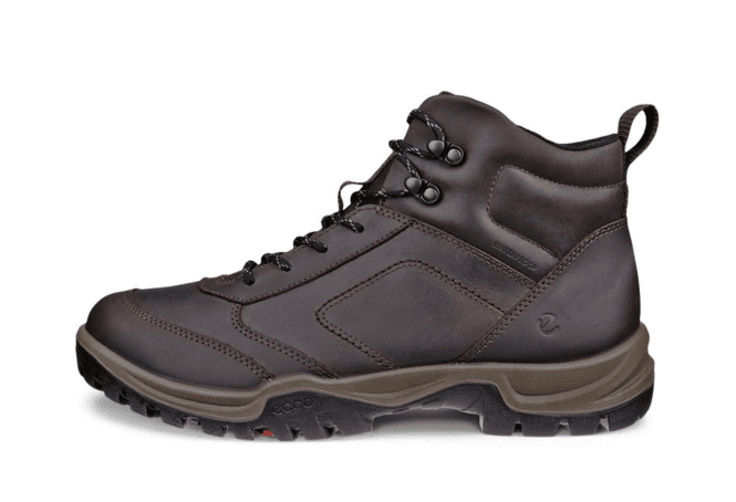 Ecco Expedition III Boot 