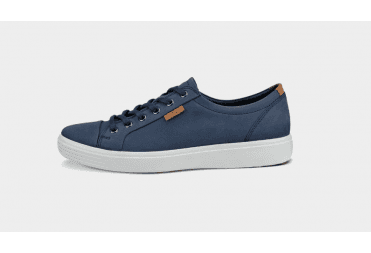 Soft 7 Trainer