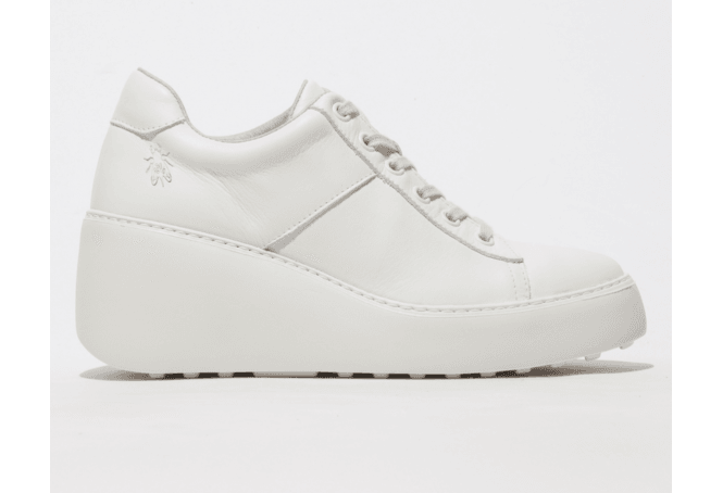 Fly Delf Trainer