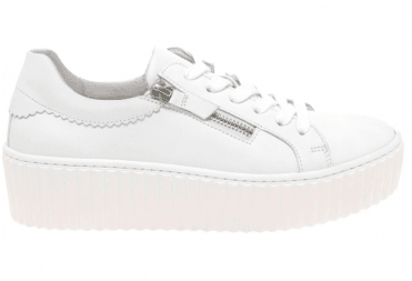 Dolly Platform Trainer 