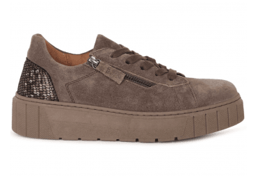 Ferry Wedge Trainer