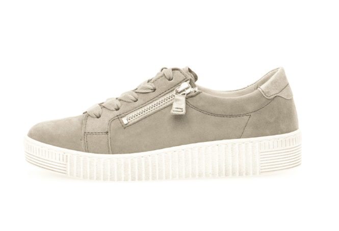 Gabor Wisdom Trainer