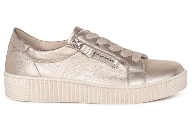 Gabor Wisdom Trainer