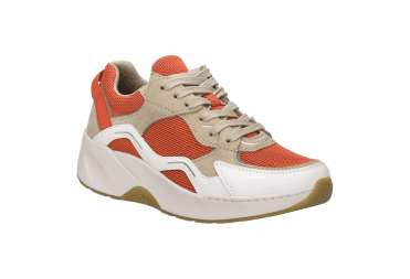 Lissi 13 Trainer 