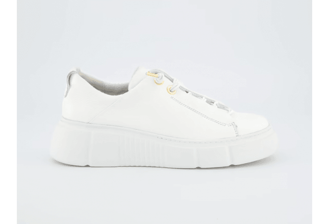 Paul Green Paul 5418 Trainer
