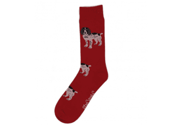 Spaniel Socks 