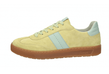 Tedroso 717 Trainer